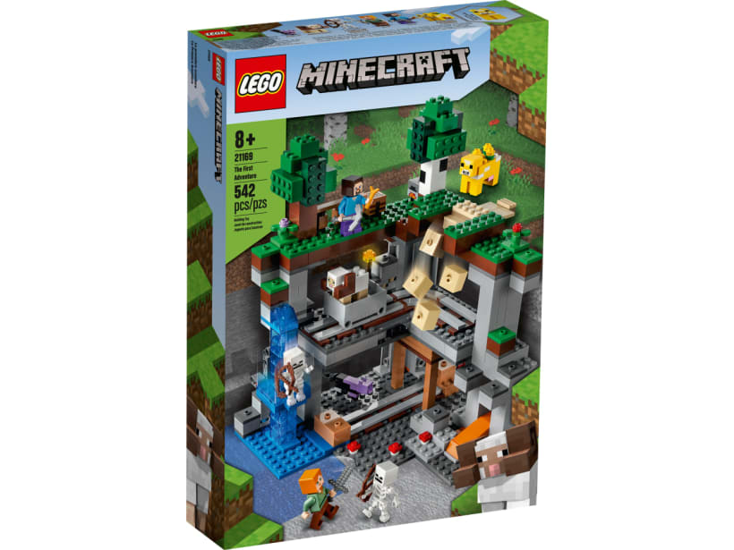Image of LEGO Set 21169 The First Adventure