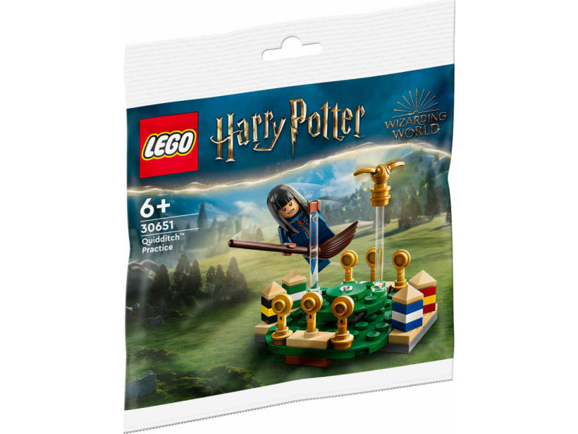 Image of LEGO Set 30651 Quidditch™ Training