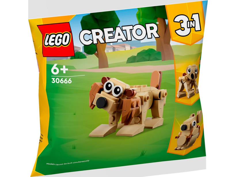 Image of LEGO Set 30666 Gift Animals