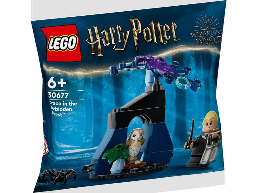 Image of LEGO Set 30677 Draco in the Forbidden Forest